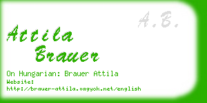 attila brauer business card